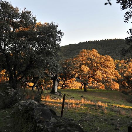 La Molinilla Apartamentos y Hammam Linares de la Sierra Esterno foto