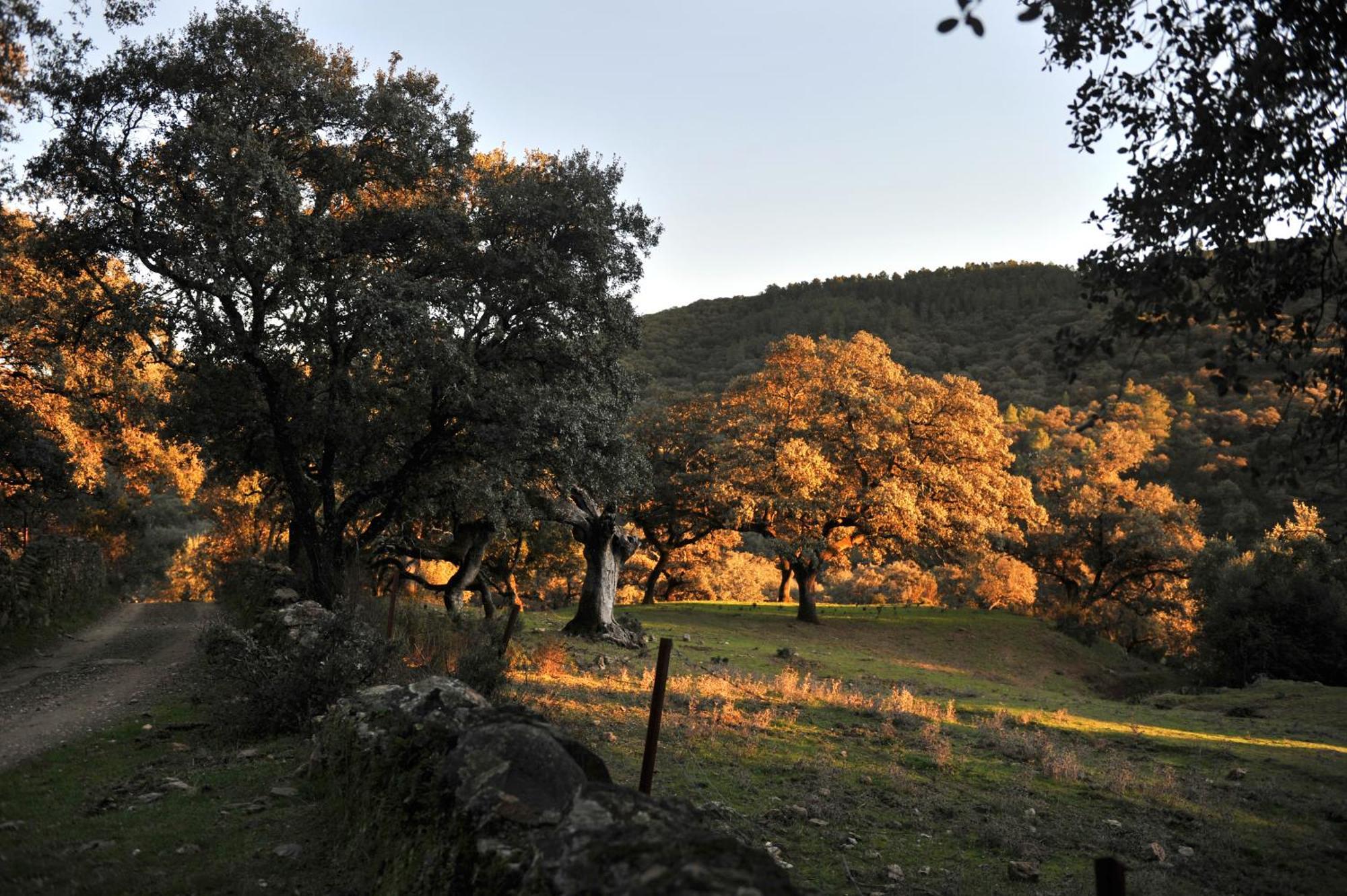 La Molinilla Apartamentos y Hammam Linares de la Sierra Esterno foto